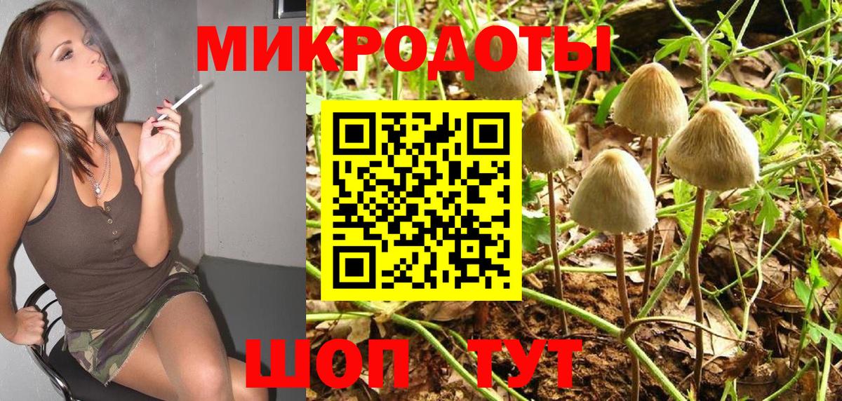 Галлюциногенные грибы GOLDEN TEACHER  Вход с VPN  Псилоцибиновые грибы Magic Shrooms  Дивногорск 