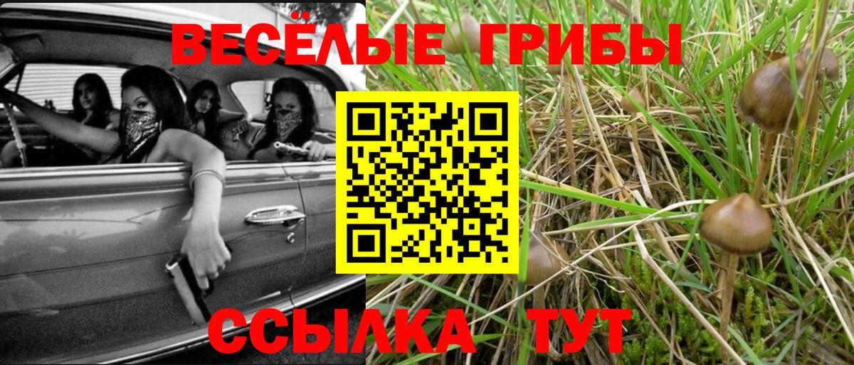 Галлюциногенные грибы мухоморы Дивногорск